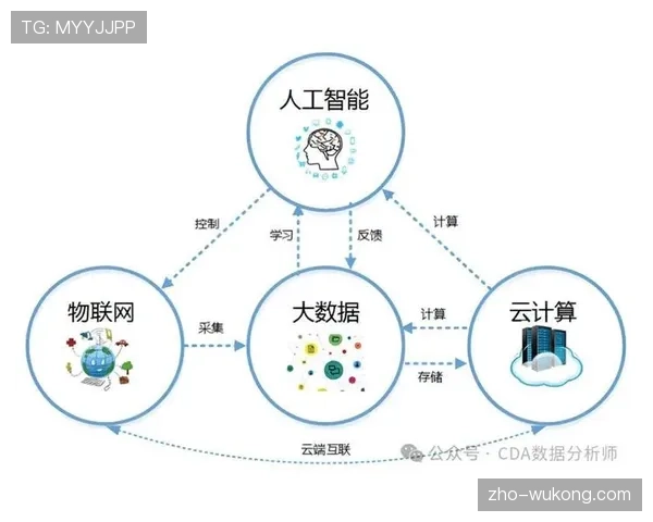 可量化指标成为营销决策主要依据 数据驱动文化渗透至各环节